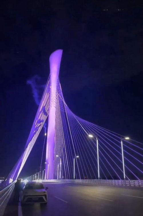 石家庄大桥爆料最新消息,工程进展与安全状况揭秘  第1张