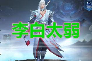 刺客最新爆料,揭秘神秘组织惊天秘密 第3张 刺客最新爆料,揭秘神秘组织惊天秘密 第3张